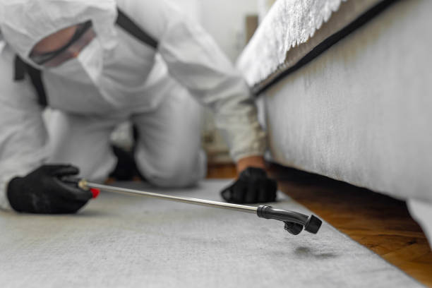 Professional Bed Bug Control technician working in Lexington, NC