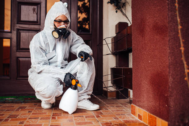 Reliable Bed Bug Control contractor in Lexington, NC by Nex Pest Control